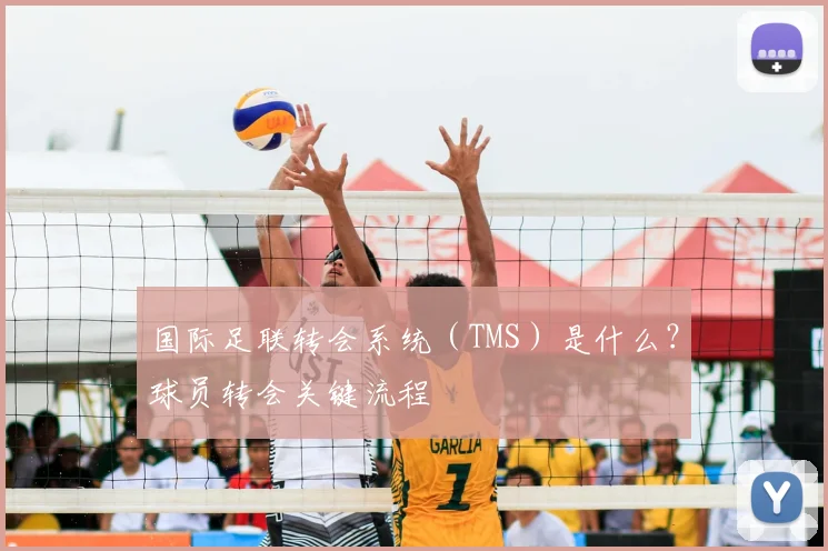 国际足联转会系统(TMS)是什么?球员转会关键流程