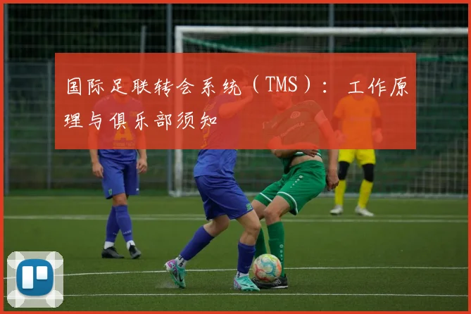 国际足联转会系统(TMS):工作原理与俱乐部须知