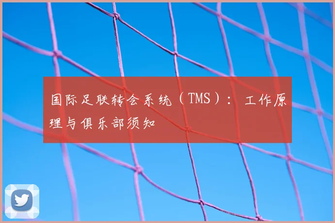国际足联转会系统(TMS):工作原理与俱乐部须知