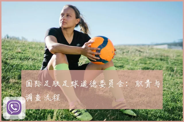 国际足联足球道德委员会:职责与调查流程